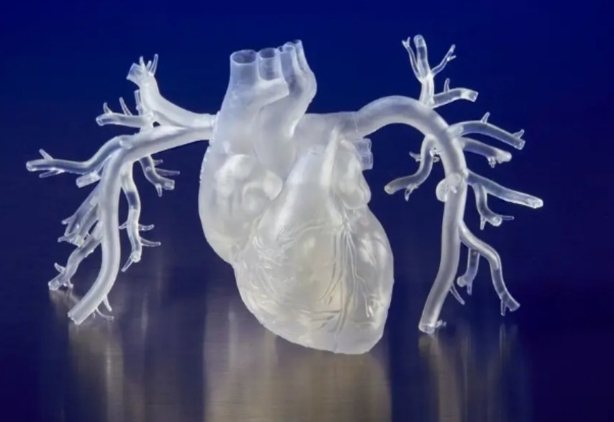 心脏模型3D打印血管纹理清晰到炸裂