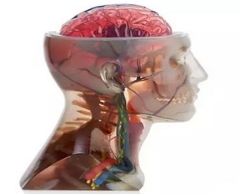 3D打印粉末材料处理设备报价信息