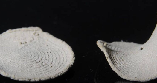 3D打印出现翘曲如何补救？教你几招让模型死而复生